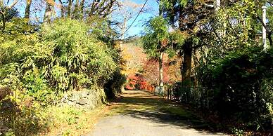 YUPOPPO Hakone