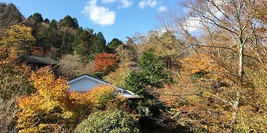YUPOPPO Hakone