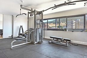The Paragon 317