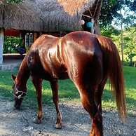 Cabañas Mannan