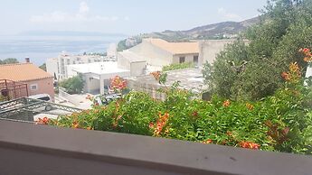 Apartments Viola