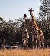 Waterberg Cottages