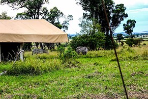 Serengeti Savannah Camps