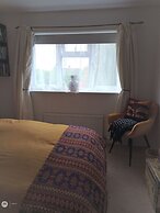 The Willow