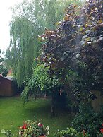 The Willow