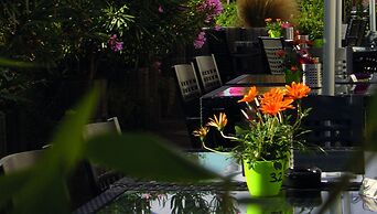 Hotel zum Deich