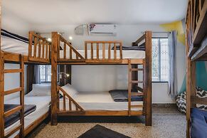 Zostel Bangalore - Hostel