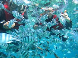 Go Deeper Tioman