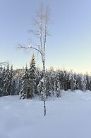 Fresh Familie Hytte Hemsedal