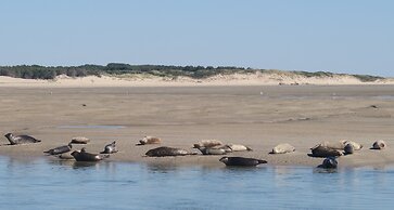 Camping - Caravaning les Cerisiers Berck sur Mer
