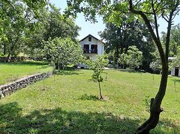 Holiday House Stipe