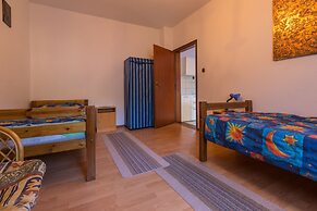 Apartments Luji