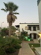 Orya Apart