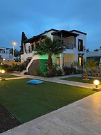 Orya Apart