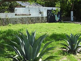 Casa Viva Mérida