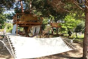 Gongis Studios