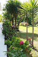 Gongis Studios