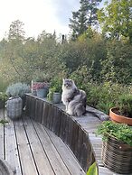 Mavens Kustnära Stugor