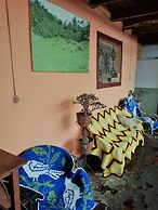 Gardenias de Gocta