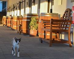 Middelplaas Paarl Guesthouse