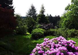 Green Corner Nürburg
