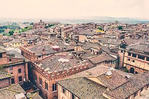 Rinidia Siena Celso Cittadini Grande
