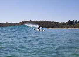 The Seabird