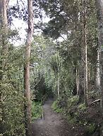 Auckland Onestop