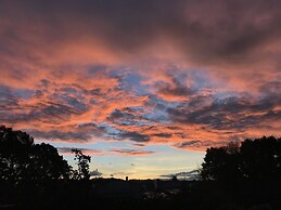 Auckland Onestop