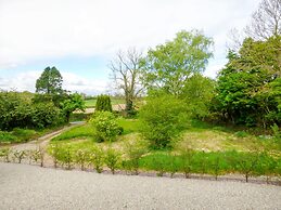 Berrylane