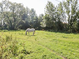 The Visiting House