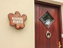 Silver Birch