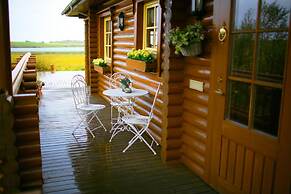 Log Cabin at White River