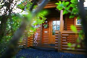 Log Cabin at White River