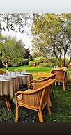 Agriturismo - B&B L'Acquacotta