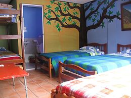 Hostal Transilvania