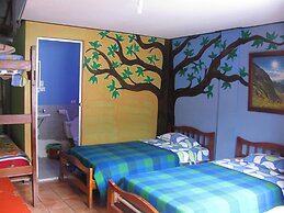 Hostal Transilvania