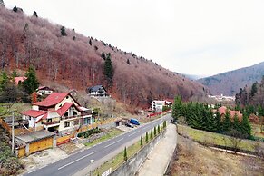Vlad Studio