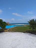 Musela Studios