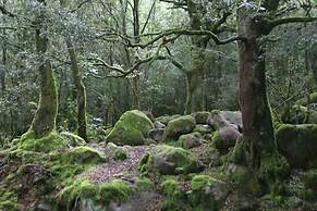 Auberge de la Foret