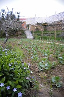 Terra Lodge