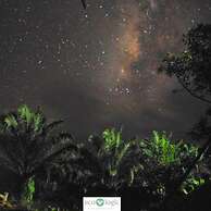 Ecologic Thailand
