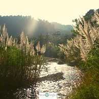 Ecologic Thailand