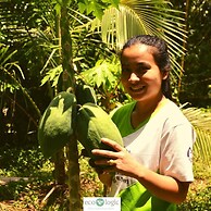 Ecologic Thailand