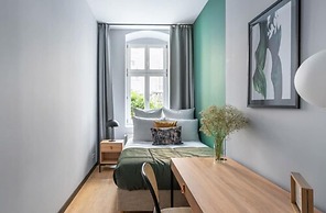 Numa Berlin Kater