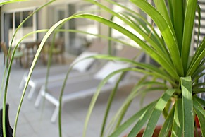 Eden Dream Apartments