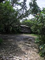 Kami House