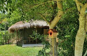 Boa Vista Resort