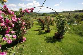 Agriturismo Ardene