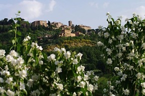 Agriturismo Ardene